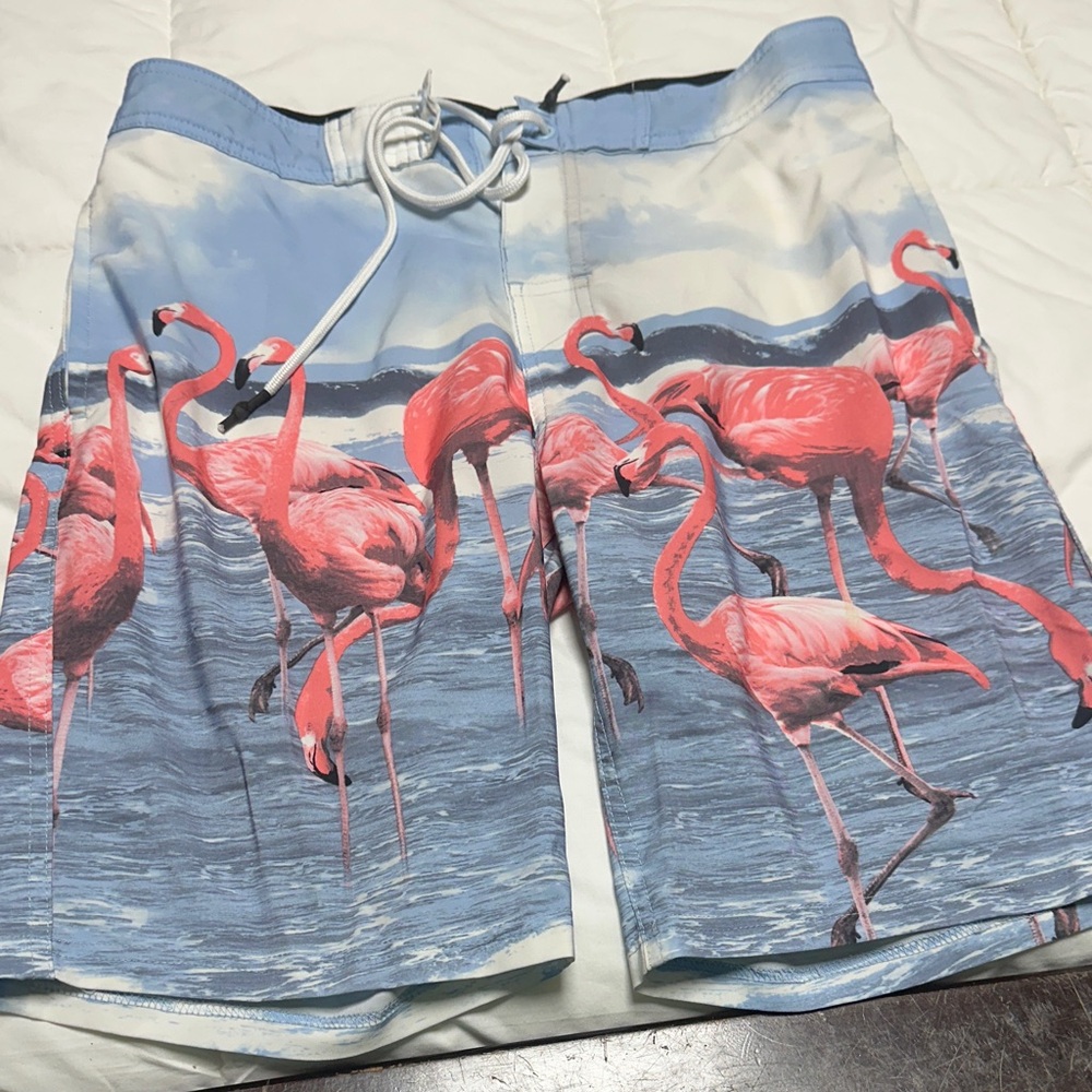 No Boundaries Flamingo Print Board Shorts